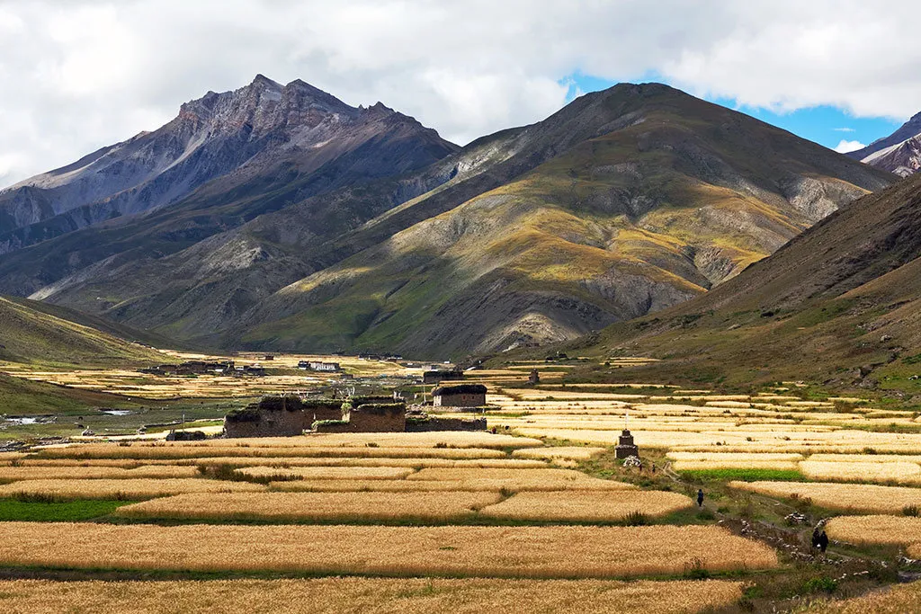 Upper Dolpo Trek – 26 Days - Photo 2